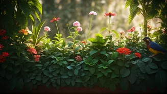 How Native Plants Double Balcony Spaces Into Wildlife Havens
