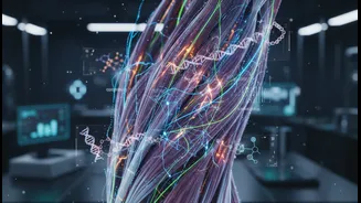 Multi-Omics Analysis Of Human Skeletal Muscle Could Change Long-Term Fitness Planning