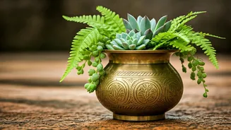 Ancient Brass Cookware Forms The Most Luxury Plant Pots
