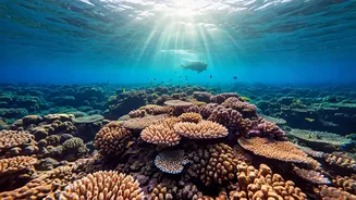 Andaman Scuba Is The Anti-Lazy Beach Holiday