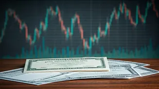 Navigating the Indian Investment Landscape: Funds, Stocks, and Trends