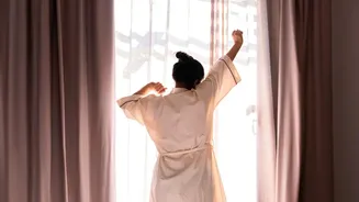 Prevent Brain Fog: 10 Minutes Of Morning Daylight Resets Daily Sleep-Wake Rhythms