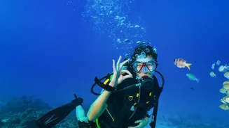 Why Andaman's post-monsoon autumn period offers the clearest water visibility for certified scuba divers