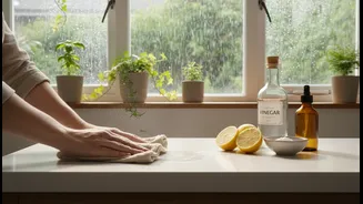 Low-Chemical Monsoon Cleaning Is Gaining Interest in Indian Homes: Why the Story Matters Now