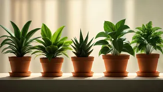 Related Stories banner