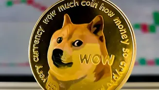 How Gold ETFs Provide Mutual Fund Security Unlike Unregulated App-Based Digital Gold Options