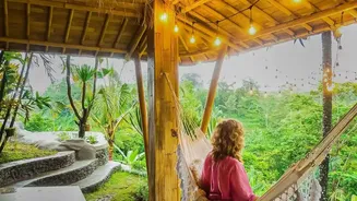 Bamboo Treehouses Drive Growing Demand For Eco Friendly Wayanad Escapes