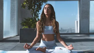 What is homeostasis? Expert decodes the body’s self-sustaining mechanism