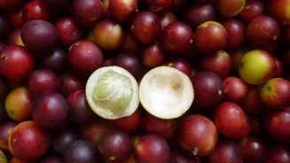 Why this Amazonian berry is gaining attention