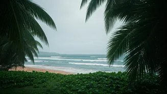 Near-Empty Goa Is Quietly Winning Travellers Now