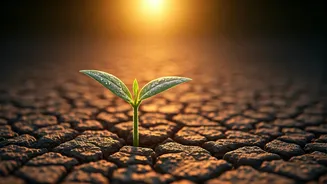 5 Japanese Wisdoms to Empower Kids: Embrace Challenges and Build Resilience