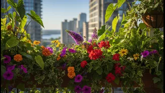 A Balcony Garden Can Support Biodiversity Without Becoming Wild Or Unmanageable
