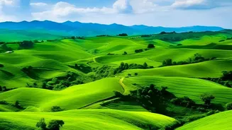 India's Green Season: Photography Ideas For Monsoon Weekend Trips