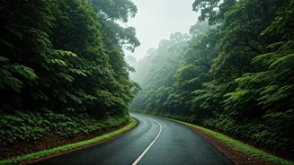 Monsoon Chasing Kicks Off Across Beautiful Misty Western Ghats Resorts