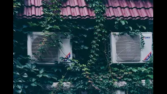 Why some homes still feel cooler at 4 PM — design, materials and airflow do more than AC