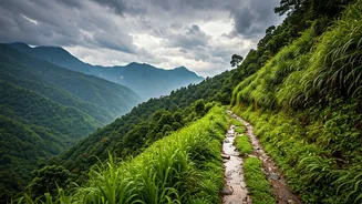 North India's Scenic Trails Are Trending This Monsoon