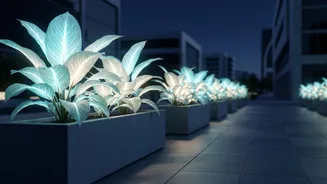 Bioluminescent Streetlight Tech: How GM Plants Offer Eco-Friendly Municipal Power Savings
