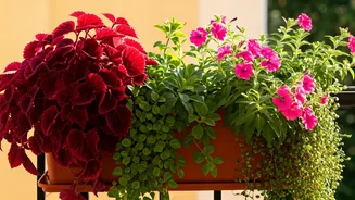 Heat-Tolerant Trailing Plants Are Balcony Drama Queens