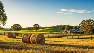 Chris Hemsworth's Farm Life: Escaping Hollywood for Australian Bliss