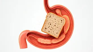 Bloating & Gas: The Real Culprit in Bread