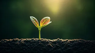 Unlocking Your Unique Potential: Thrive Authentically and Achieve True Greatness