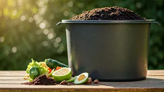Home Composting Makes Sustainability Feel Practical