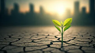 Related Stories banner