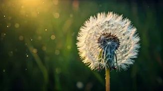 Zodiac Love Forecast: May 18-24, 2026 – Nurturing Connections with Patience