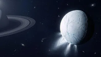 Enceladus Strengthens The Case For Future Life-Detection Missions As Could Preserve Biosignatures In Ice Grains Matters