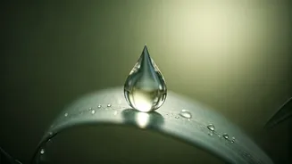 Priyanka Chopra's Secret to Radiant Skin: Diet, Routine & Lifestyle