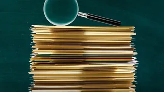 Human Review of Finding Errors in Older Research After AI Agents Auditing Scientific Papers
