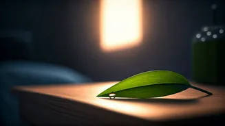 Embrace Your Dawn: 5 AM Affirmations for a Powerful Day Ahead