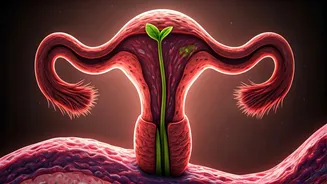 Endometriosis & Pregnancy: Separating Fact from Fiction - Does Pregnancy Truly Cure It?