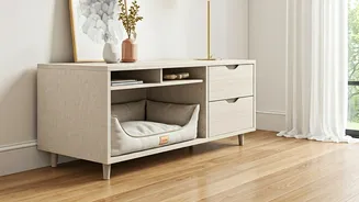 Indian Interiors Are Making Space For Pets