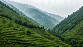 North India's Rainy Beauty Is Hard To Ignore