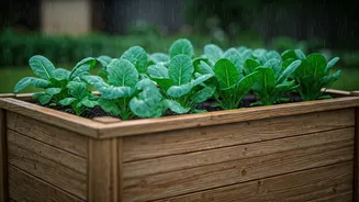 Raised Beds Make Monsoon Gardening Less Risky