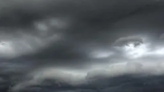 What Uneven Monsoon Rain Means For Wheat, Pulses And Oilseeds