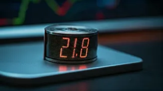 India's Stock Market: Where the Smart Money Flows