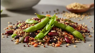 Why the plant-based protein digestibility scale is essential for modern longevity diets