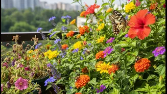 Pollinator-Friendly Balconies Need Better Plant Choices