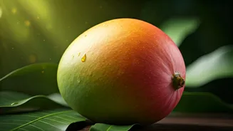 Malda: Discover India's Mango Paradise in May & Your Travel Guide