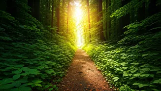 Smart Moves: Reigniting Joy and Purpose in Life