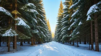 10 Winter Habits to Cultivate Inner Fortitude