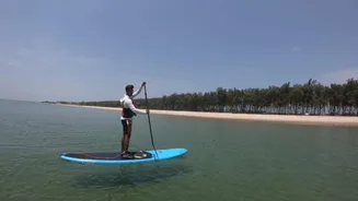 Paddleboarding v/s rowing: Which burns calories more?
