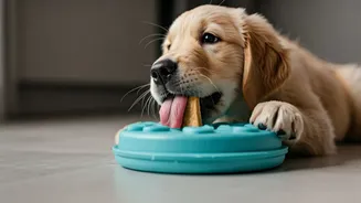 Keep High Energy Dogs Engaged Using Frozen Peanut Butter Purée