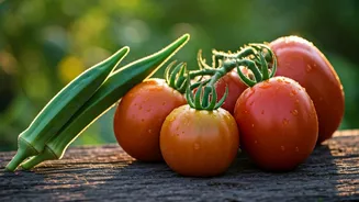 June-Friendly Gardening Starts With Tomato And Okra