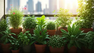 India Turns Homes Into Gardens