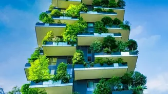 What The Low-Water Gardening Shift Shows About Designing Gardens For Lower Water Demand