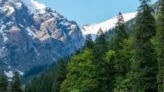 Kasol And Jibhi Workations: Pocket-Friendly Mountain Stays For Tech Industry Remote Workers