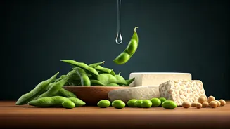 Soy Sensations: Unpacking the Truth Behind Popular Health Myths